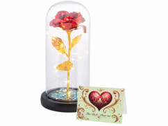 Rose éternelle sous cloche avec LED