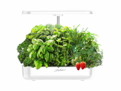 Mini potager PAS-70 Carlo Milano avec lampe de croissance pour 12 plantes.