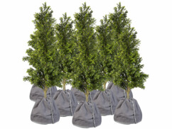 8 housses d’hivernage pour pot 70 x 65 cm de la marque Royal Gardineer