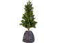 Housse d'hivernage pour pot 70 x 65 cm de la marque Royal Gardineer