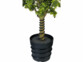 Câble chauffant antigel avec thermostat 10 m sur une plante